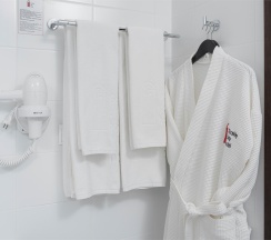 Business Twin в Gorskiy city hotel