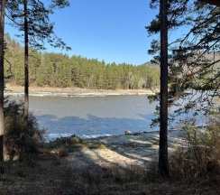 Дом на берегу Катуни: Кошкин дом в Алатырь