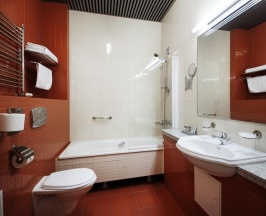 Одноместный номер Стандартный в Отель Виктория