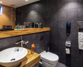 Стандарт с 1 кроватью Queen-size вид в Атриум в Hotel Indigo St. Petersburg-Tchaikovskogo