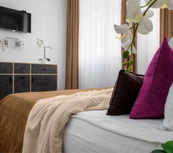 MINI LUX (комфорт бизнес) в Park & House Hotel