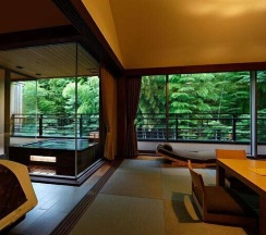 Номер Standard с видом на окрестности в Hakone Kamon