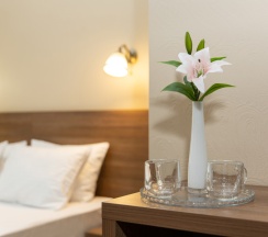 Двух местный Cтандарт + 1 доп.место без балкона в Brown hotel