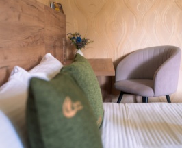 Стандарт с одной большой кроватью в Курский соловей