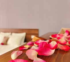 Двухместный комфорт с общей террасой  в Уральские самоцветы