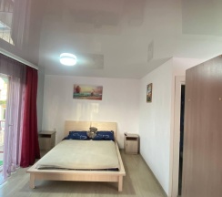 Номер стандарт семейный с 3 односпальными и 1 двуспальной кроватью в Алешкина мечта