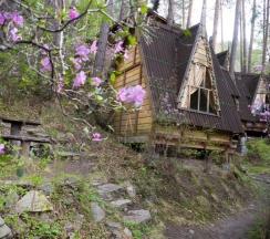 Теремок в Altai star