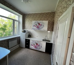 Апартаменты с одной двуспальной кроватью в Советский