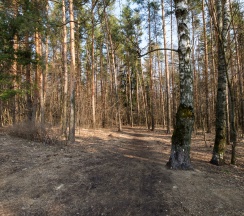 Квартира в Апартаменты на к815