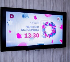 1-комнатные апартаменты стандарт в ЖивиТут