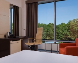 Номер стандарт с 1 двуспальной кроватью в DoubleTree by Hilton Moscow-Vnukovo Airport
