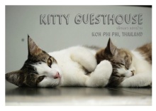 Одноместный номер Standard в Kitty Guesthouse