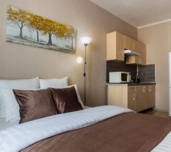 1-комнатные апартаменты студия #386 в Natalie Apartments на шоссе Пулковское 14Е