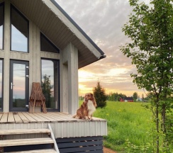 Коттедж Сканди в Родионова дача