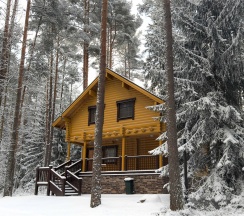 Коттедж "Черничный" в Дача