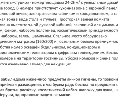 Апартаменты-студио в City hotel