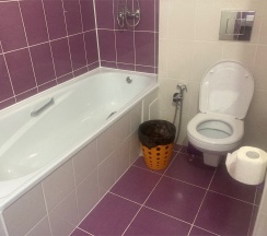 Делюкс 2-х местный с балконом в Диса