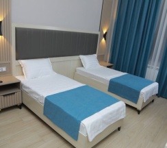 Двухместный номер Superior 2 отдельные кровати в Human hotel