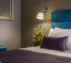 Двухместный номер Comfort с одной кроватью в Mansilion hotel