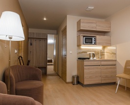 2-местный номер улучшенный семейный с 1 двуспальной кроватью в Ленинградский