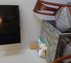 Гостевая комната с гостиной. в На Невском