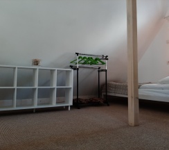 Апартаменты шестиместные в Листья травы