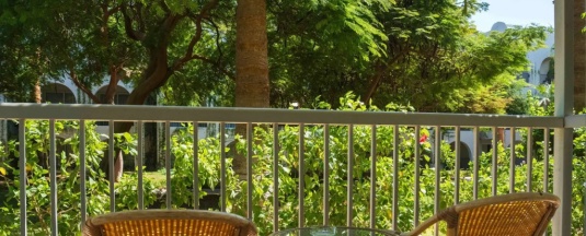 Трёхместный номер в Desert Rose Resort