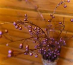 Номер люкс премиум в Медведь