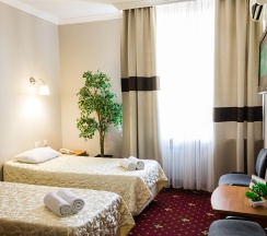 Двухместный стандарт в Аристоль