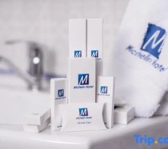 Двухместный номер Standard двуспальная кровать в Отель Michelin