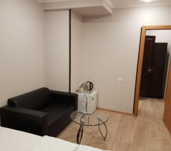 Номер "Комфорт" с 1 двуспальной кроватью в Аэропорт Внуково