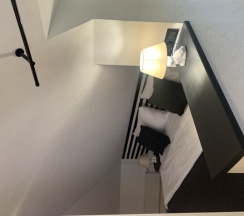 Стандарт в Кошкин дом