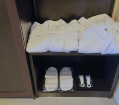 Номер люкс улучшенный в Мезонин