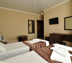 Двухместный номер Standard с балконом 2 отдельные кровати в Валекс