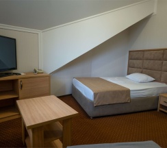 Номер СТАНДАРТ в Пегас