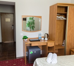 Двухместный стандарт в Аристоль