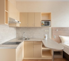 Студия стандарт double/twin в InnDom