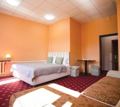 Номер улучшенный с 1 двуспальной кроватью и диваном в Базис-М