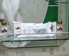 Стандарт Одноместный 1 категории в Александр Хаус