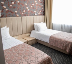 Номер стандарт улучшенный с 2 односпальными кроватями в Хабаровск