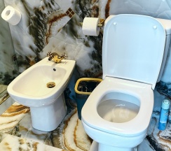 AFRODITE в Malakhovka Palace