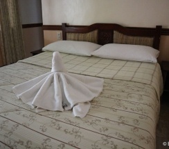 Номер Standard с балконом в Tonglen Eco Resort