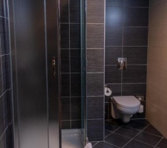 Одноместный номер Standard двуспальная кровать в Regnum Residence
