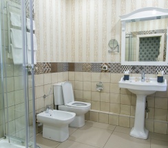 Стандартный одноместный номер в Business hall