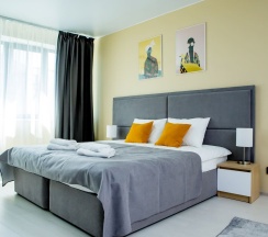 Studio Suite в Next