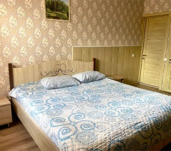 Стандартный двухместный номер в Sheremet