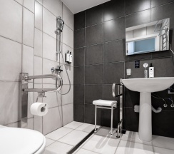 Стандарт с большой кроватью для маломобильных гостей в Delta Sirius