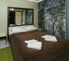 Двухместный номер (корпус 3) в Снегирек