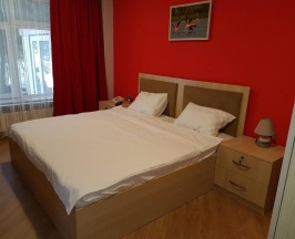Одноместный номер Standard в Flamingo