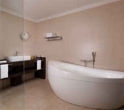 Полулюкс в Воронеж Marriott